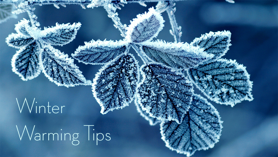 Winter Warming Tips