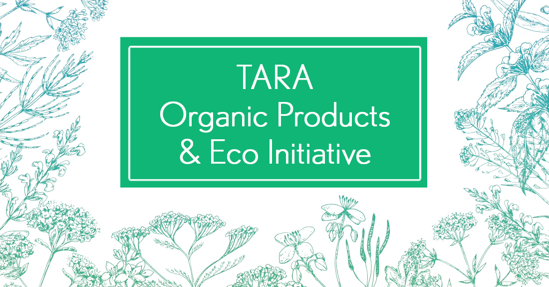 Our Commitment To Sustainability